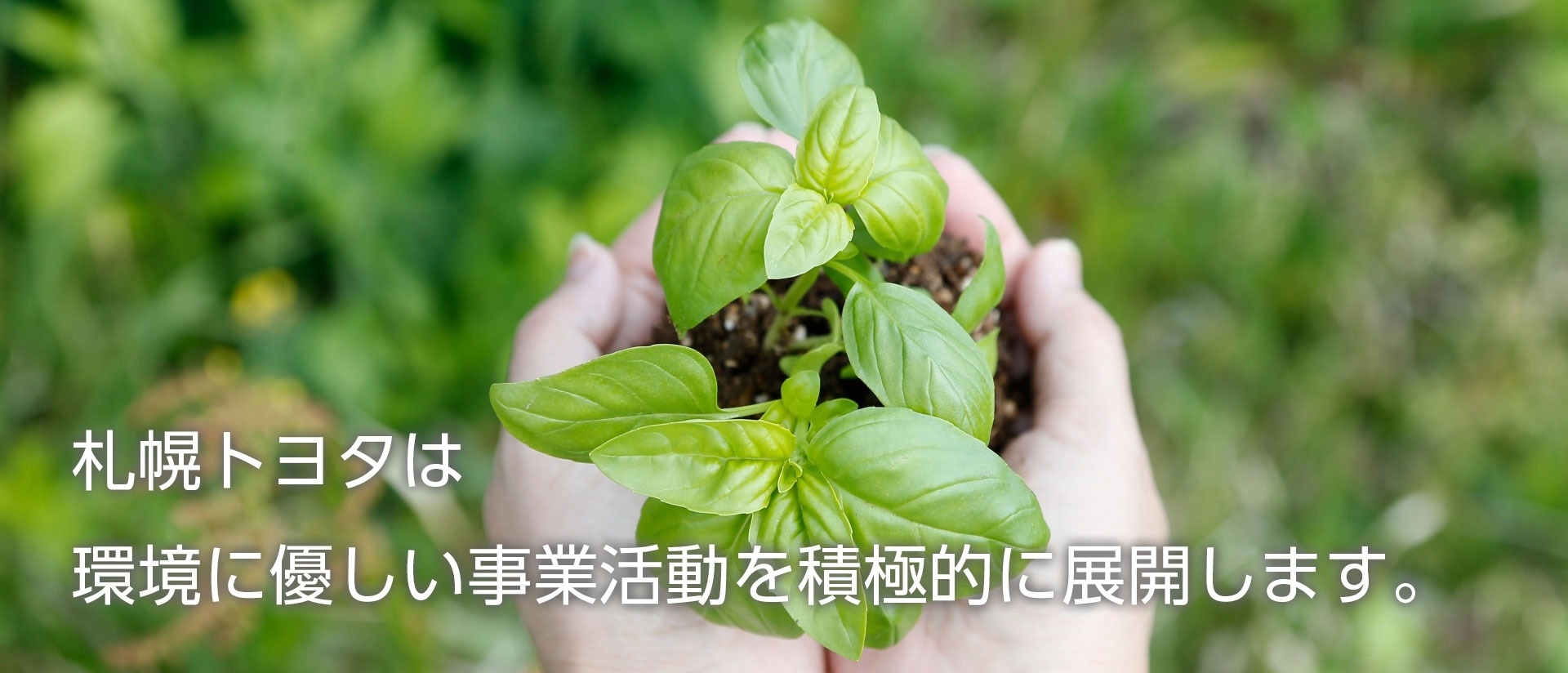 環境への取組