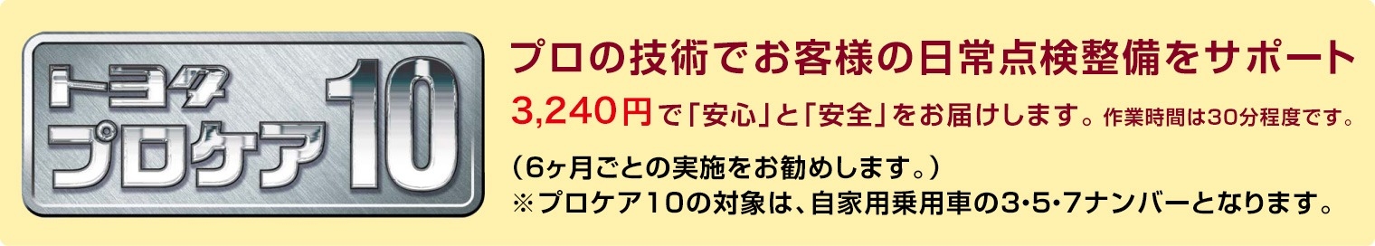 プロの技術でお客様の日常点検整備をサポート 3,240円で「安心」と「安全」をお届けします。作業時間は30分程度です。(6ヶ月ご
