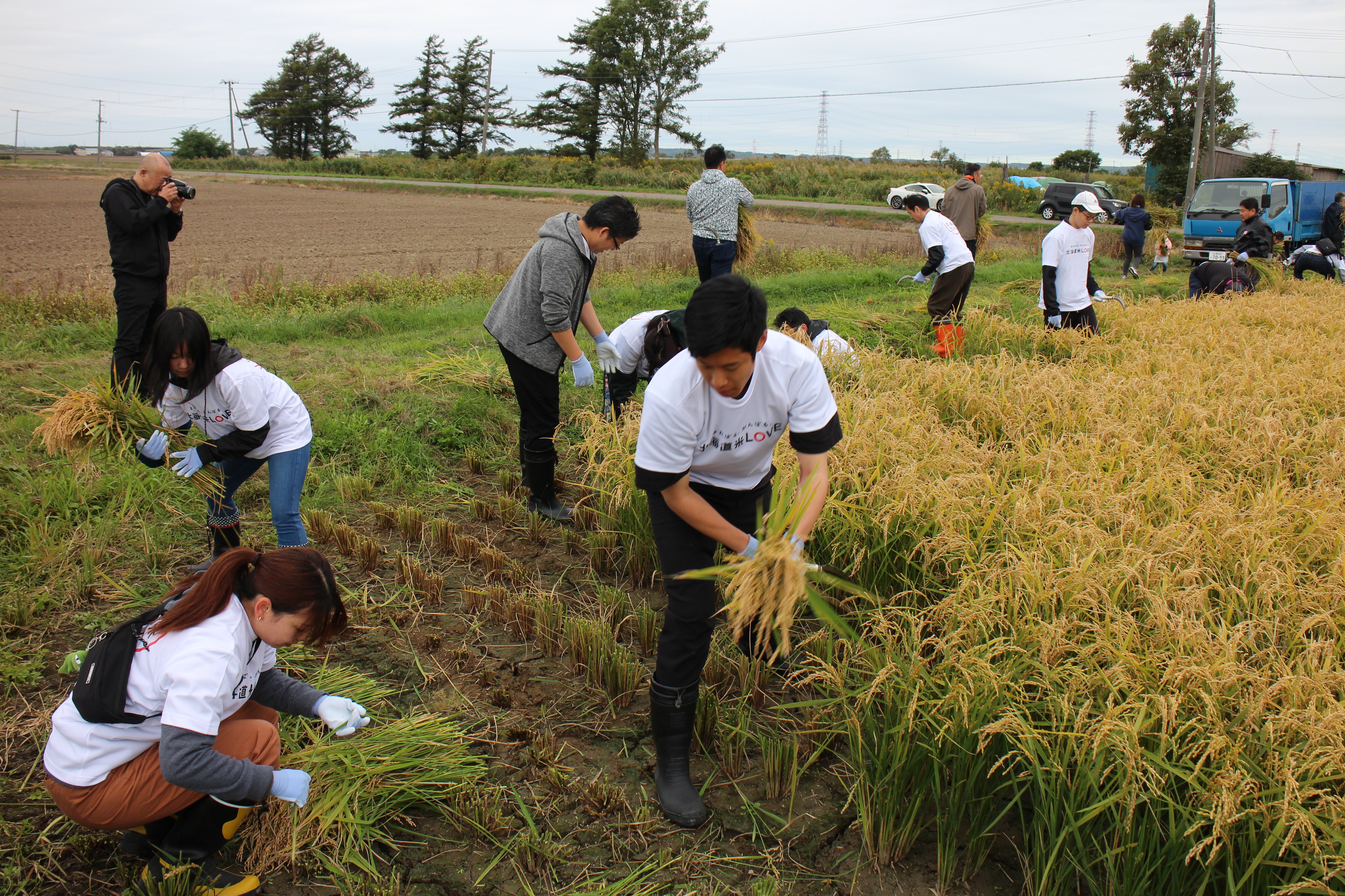 田植え