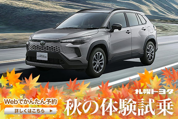 masato04150530 様　試乗確認予定 専用他の方は遠慮下さい 歩数計 3Dセンサー搭載