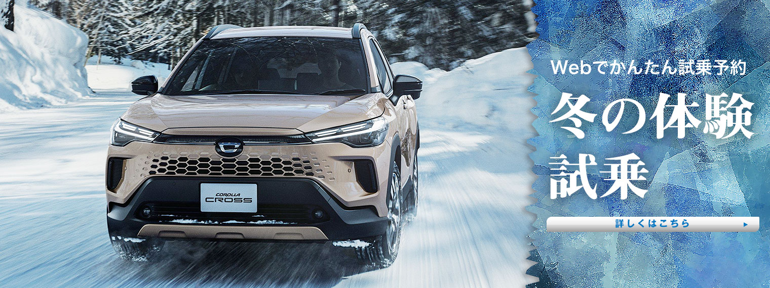 冬の体験試乗