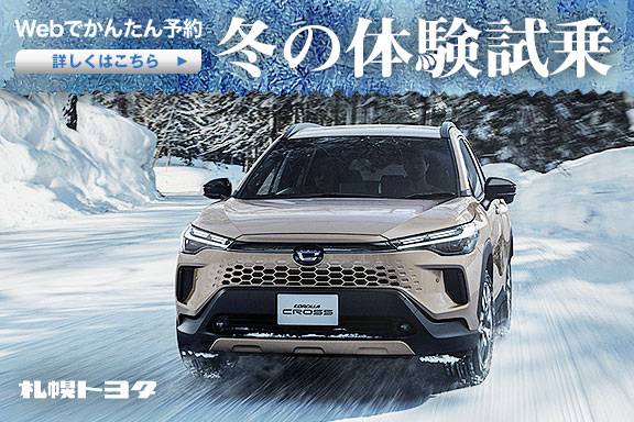 冬の体験試乗